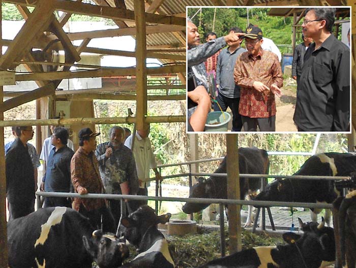 Daging Sapi Harganya Naik, Pemerintah Tuntut Tanggung Jawab Importir